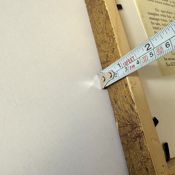 Hawaiian Botanical Bird of Paradise Art Print Set of 2 - Picture 8 of 8